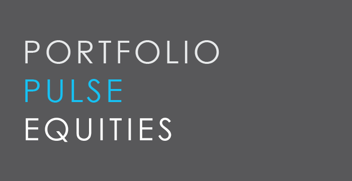Portfolio Pulse Equities