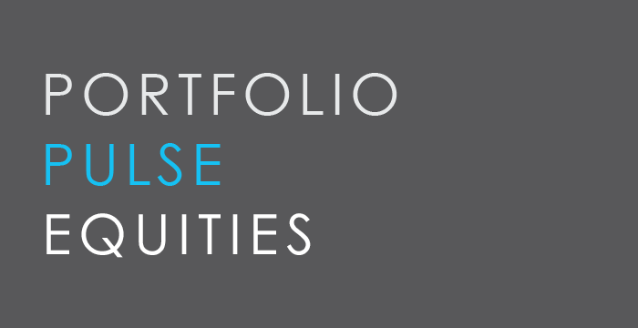 Portfolio Pulse - Equities