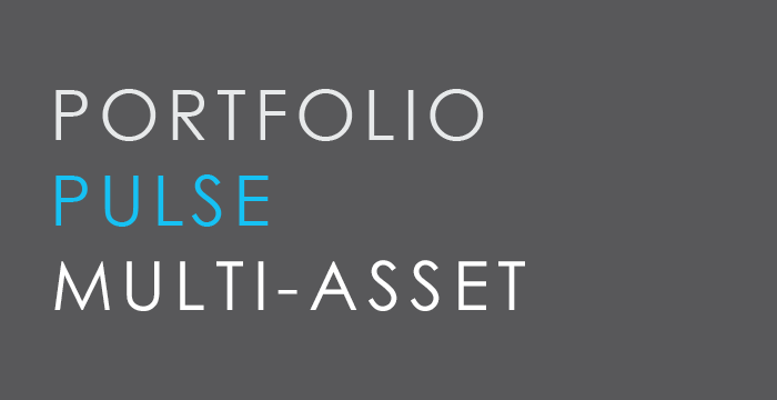 Portfolio Pulse Multi-Assest