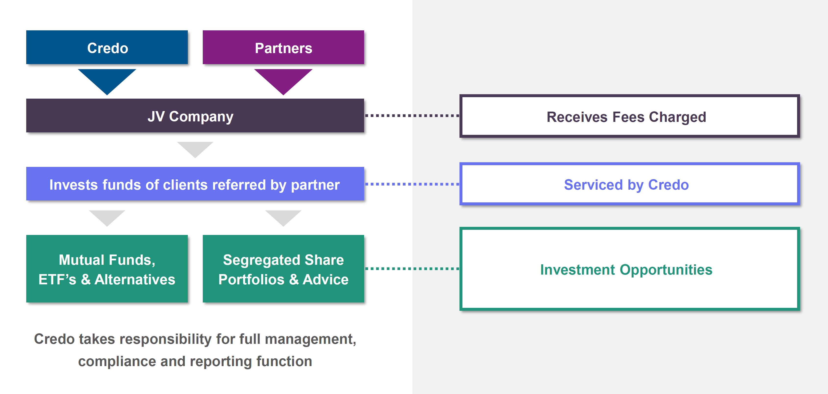 Partnerships Structure